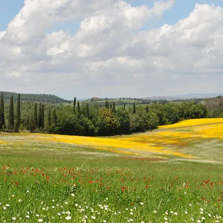 Vittorio * Brucciano